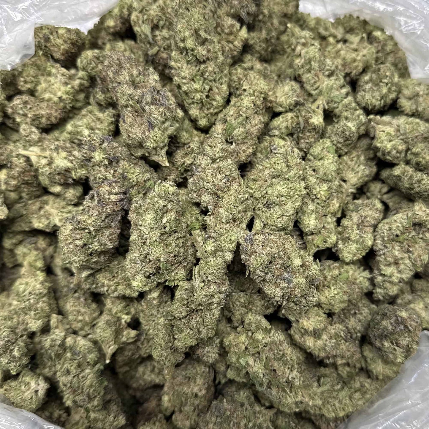 THCa Flower | Hashburger : HYBRID (28.51%)