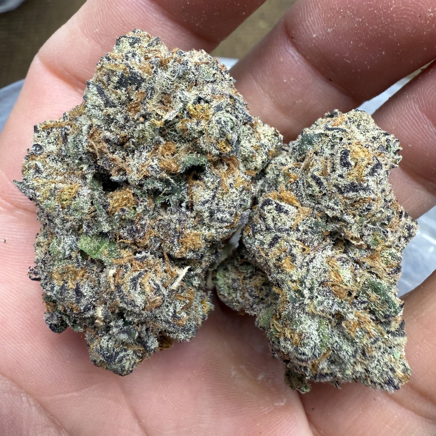 THCa Flower | Trop Chem : SATIVA (35.64%)